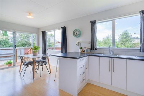 Photo of property in 45 Green Avenue, Levin, 5510