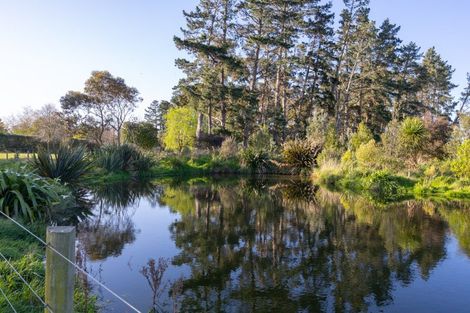 Photo of property in 98 Taonui Road, Aorangi, Feilding, 4775