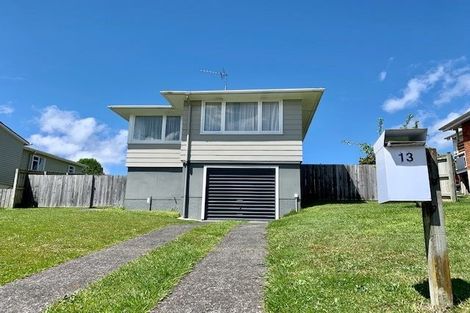 Photo of property in 13 Mcintosh Street, Chartwell, Hamilton, 3210