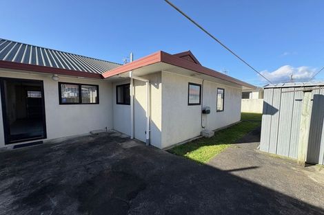 Photo of property in 103 Winchester Street, Levin, 5510