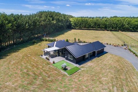 Photo of property in 985 Parewanui Road, Parewanui, Bulls, 4894