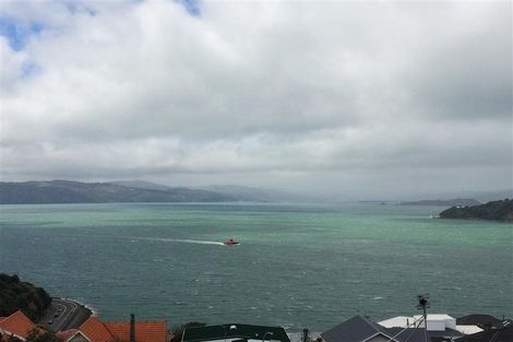 Photo of property in 105 Te Anau Road, Hataitai, Wellington, 6021