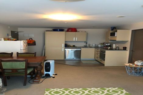 Photo of property in Dual Apartments, 301/142u Vivian Street, Te Aro, Wellington, 6011