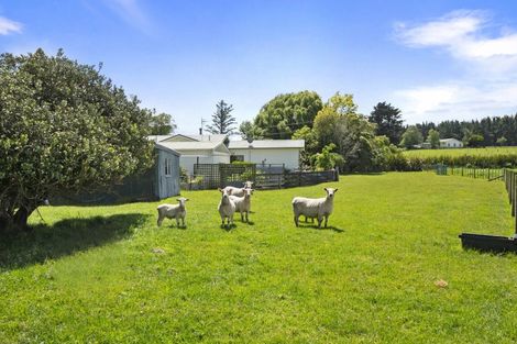 Photo of property in 455 Awahuri Road, Awahuri, Palmerston North, 4479