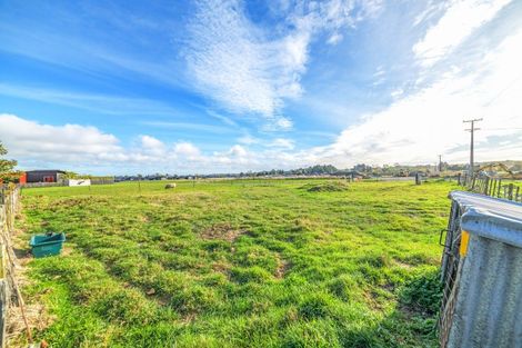 Photo of property in 55 Roots Street East, Feilding, 4702