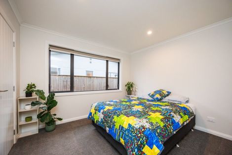 Photo of property in 73b Worcester Street, Ashhurst, 4810