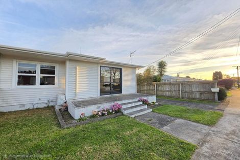 Photo of property in 37 Graham Street, Levin, 5510