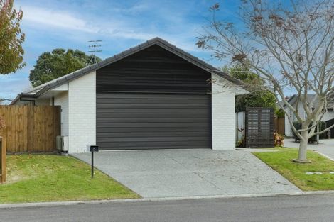 Photo of property in 15 Allington Place, Bethlehem, Tauranga, 3110