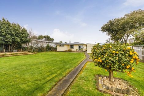 Photo of property in 72 Pukepapa Road, Marton, 4710