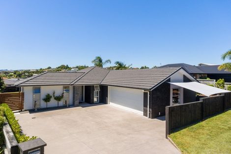 Photo of property in 20 Kinmount Drive, Pyes Pa, Tauranga, 3112