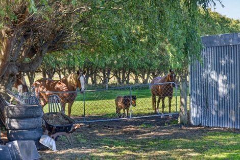 Photo of property in 65 Burneys Road, Motukarara, Christchurch, 7672