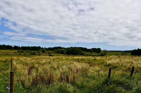 Photo of property in 216 Kongahu Swamp Road, Little Wanganui, Karamea, 7893