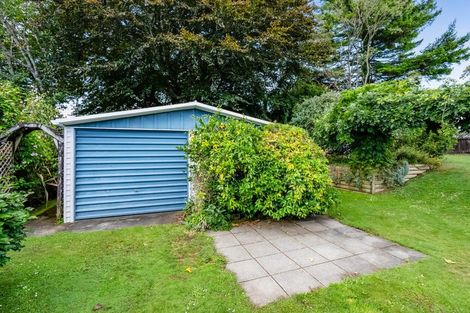 Photo of property in 4 Oswald Place, Stratford, 4332