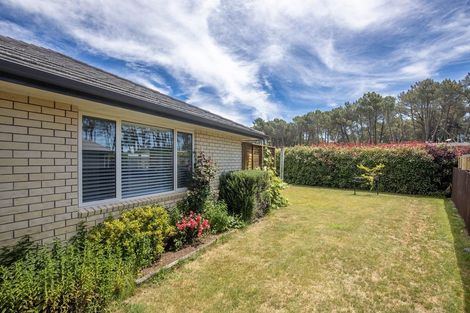 Photo of property in 60 John Norrie Place, Motuoapa, Turangi, 3382