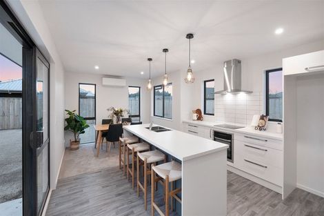 Photo of property in 21 Coleridge Street, Rolleston, 7614