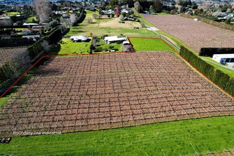 Photo of property in 36 Echo Valley Way, Tauriko, Tauranga, 3110