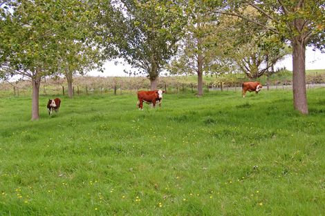 Photo of property in 924 Oneriri Road, Kaiwaka, 0573