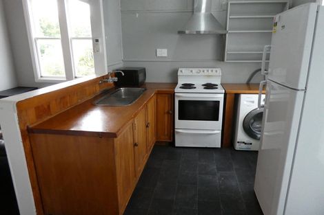 Photo of property in 117 Wallace Street, Mount Cook, Wellington, 6021