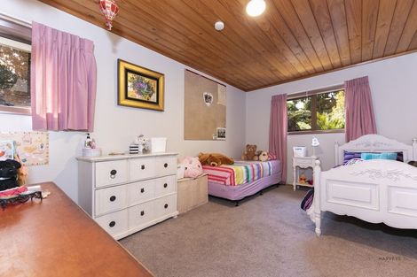 Photo of property in 219 Shaw Road, Titirangi, Auckland, 0604