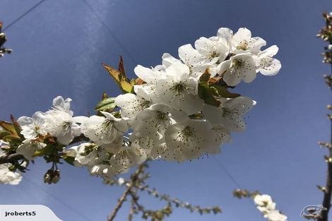 Photo of property in 66 Gladsmuir Road, Queensberry, Cromwell, 9383