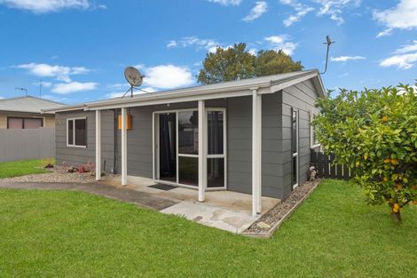 Photo of property in 3a Kettle Avenue, Awapuni, Palmerston North, 4412