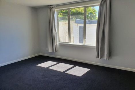 Photo of property in 97 Bordesley Street, Phillipstown, Christchurch, 8011