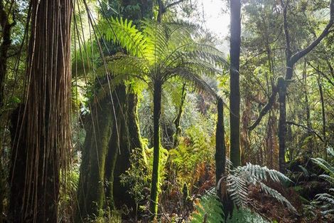 Photo of property in 148 The Avenue, Lucas Heights, Auckland, 0632