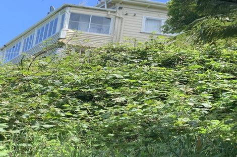 Photo of property in 46 Northland Road, Northland, Wellington, 6012