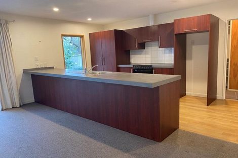 Photo of property in 42a Dominion Avenue, Spreydon, Christchurch, 8024