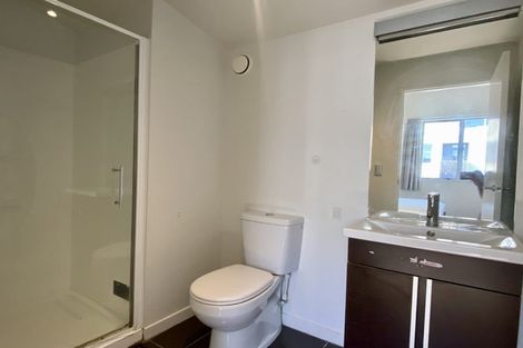 Photo of property in Altar Apartments, 51/120u Rintoul Street, Newtown, Wellington, 6021