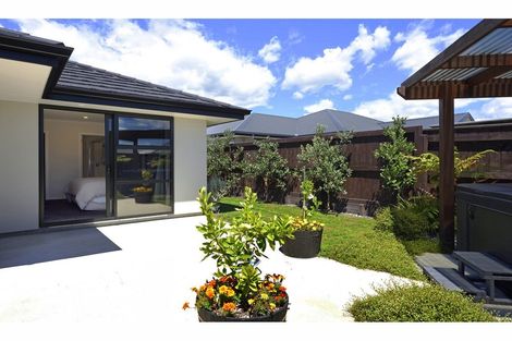 Photo of property in 16 Hart Road, Richmond, 7020