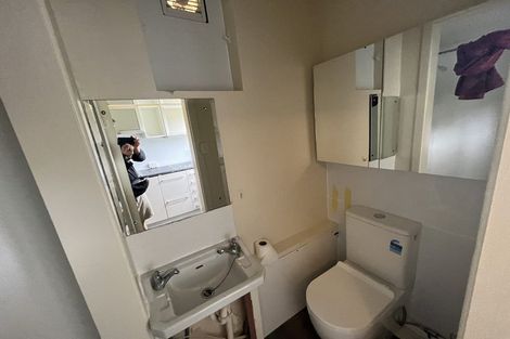 Photo of property in 29 Saint Michaels Crescent, Kelburn, Wellington, 6012