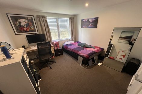 Photo of property in 239u6 Adelaide Road, Newtown, Wellington, 6021