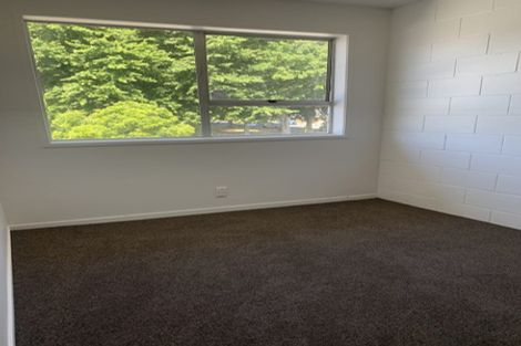 Photo of property in 1196u2 Victoria Street, Whitiora, Hamilton, 3200