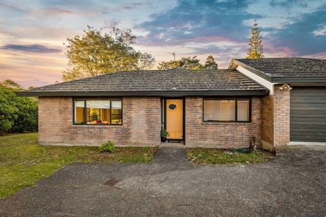 Photo of property in 40a Daytona Road, Henderson, Auckland, 0610