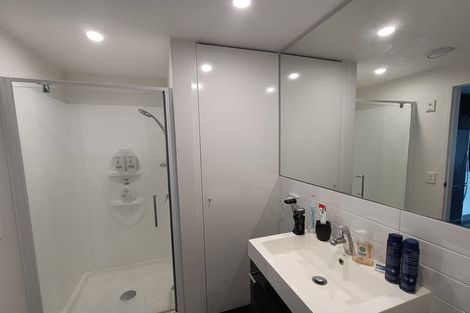 Photo of property in Nouvo Apartments, 4c/21 Rugby Street, Mount Cook, Wellington, 6021