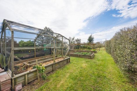 Photo of property in 366 Motuiti Road, Foxton, 4891