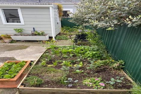 Photo of property in 34 Drummond Street, Mount Cook, Wellington, 6021