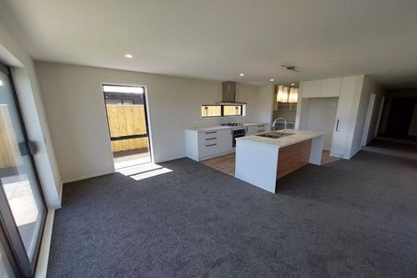 Photo of property in 19 Mccormick Lane, Rolleston, 7615