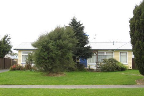 Photo of property in 54 Graham Street, Levin, 5510
