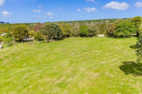 Photo of property in 100 River Drive, Kerikeri, 0294