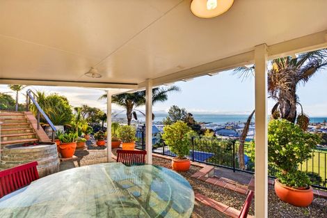 Photo of property in 40 Hospital Terrace, Hospital Hill, Napier, 4110