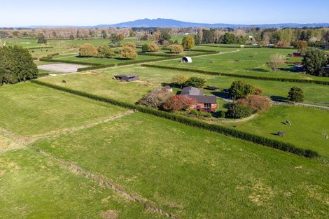 Photo of property in 310 Mystery Creek Road, Ohaupo, 3881