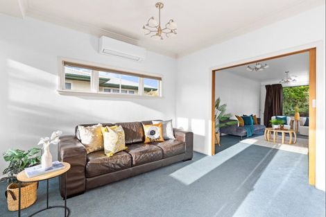 Photo of property in 49 Haydon Street, Roslyn, Palmerston North, 4414