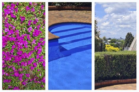 Photo of property in 16 Melva Street, Dinsdale, Hamilton, 3204