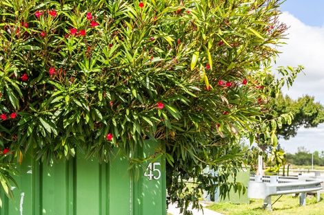 Photo of property in 45 Middle Road, Havelock North, 4130