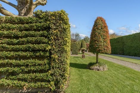 Photo of property in 41a Hollister Lane, Ohauiti, Tauranga, 3112