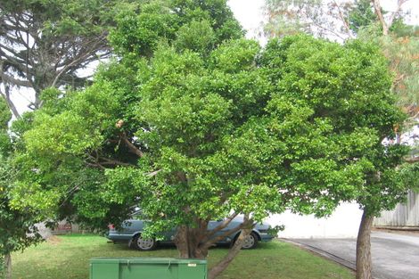 Photo of property in 5 Statesman Street, Henderson, Auckland, 0612