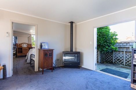 Photo of property in 7 Eric Street, Norsewood, 4974