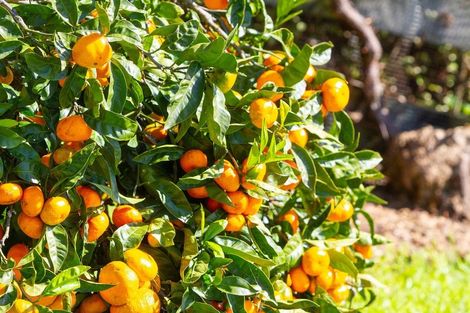 Photo of property in 78c Bennett Road, Te Mata, Thames, 3575